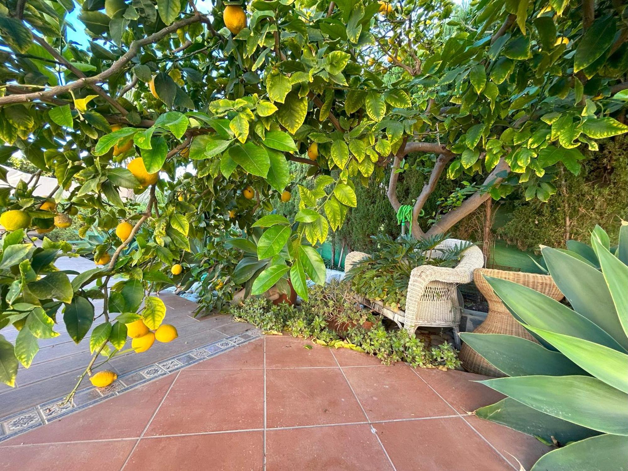 Casa Luna Llena Calpe Zewnętrze zdjęcie